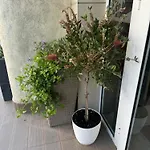 Apartment At Sunny Sunny Beach