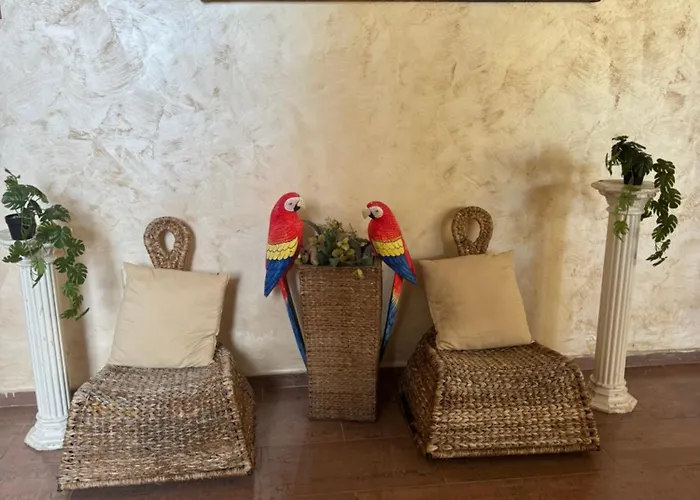 At Sunny Σάνι Μπιτς