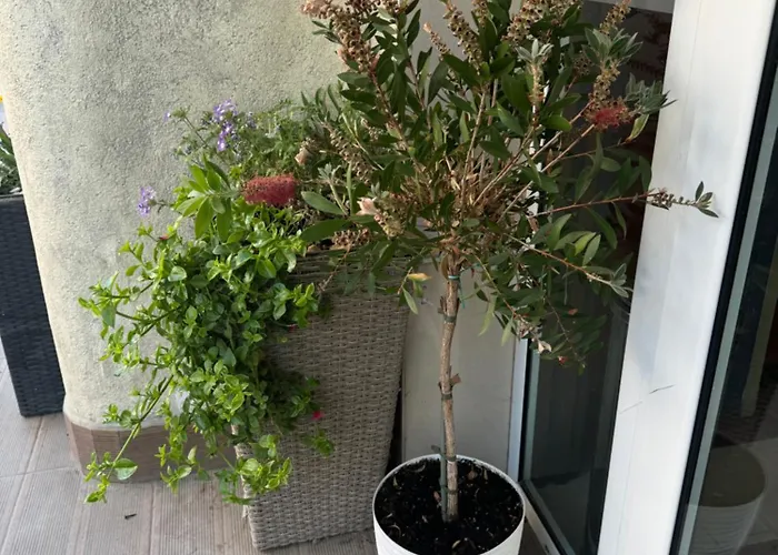 Διαμέρισμα At Sunny Σάνι Μπιτς