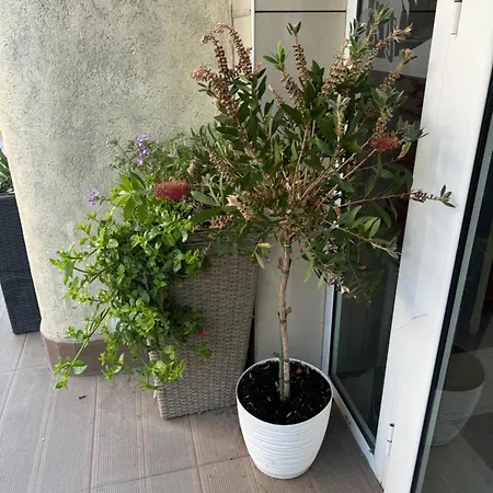 דירה At Sunny סאני ביץ'