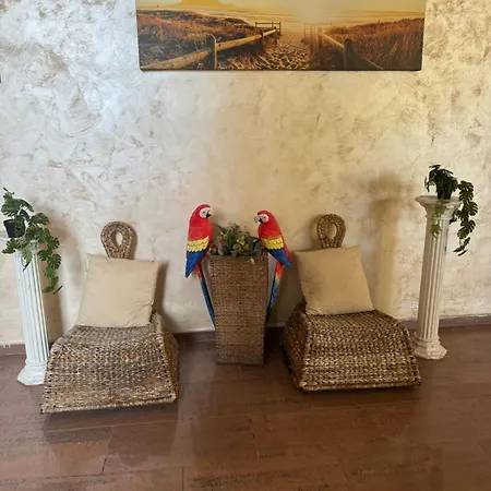 At Sunny Slăntjev Brjag